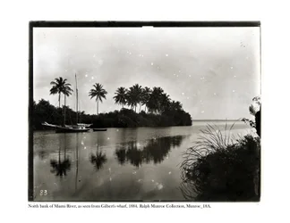 Ribera norte del río Miami, vista desde el muelle de Ghilberts, 1884